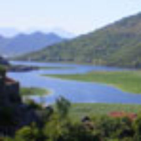 Pisces Fish & Chip Shop